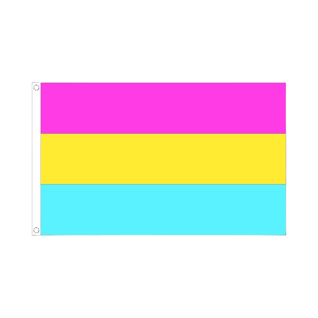 Pride Flag - Pansexuell Fahne