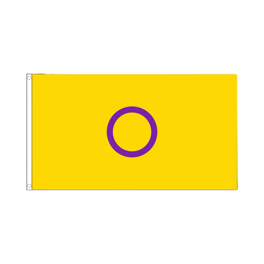 Pride Flag - Intersex Fahne